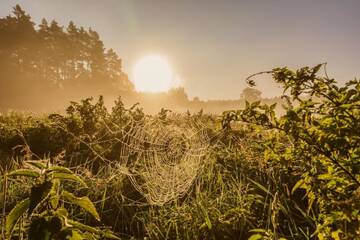 Фото Фермерские дома Gospodarstwo Agroturystyczne Zacisze г. Русь 5